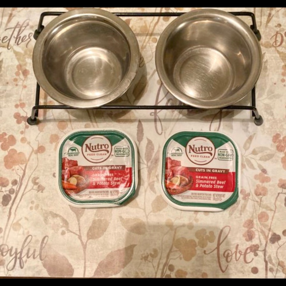 Small cat or small dog bowl with stand